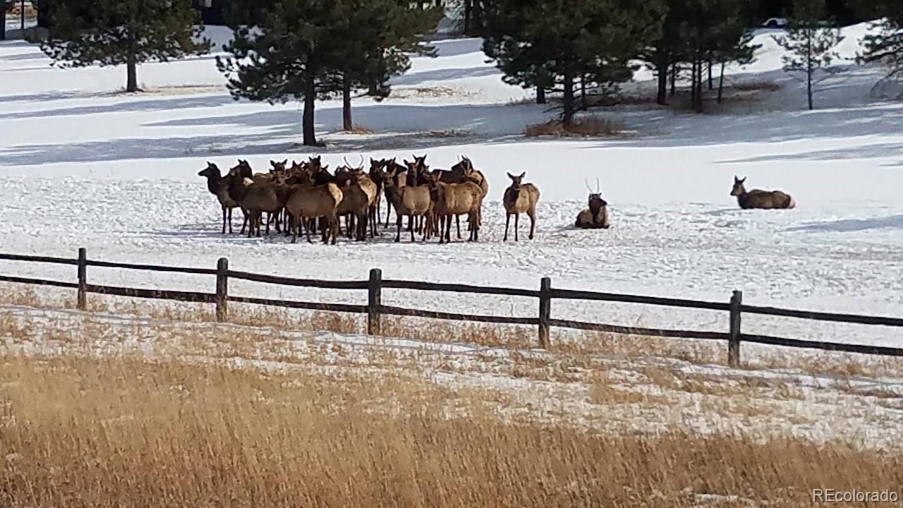 MLS Image #37 for 87  sparrow court,bailey, Colorado