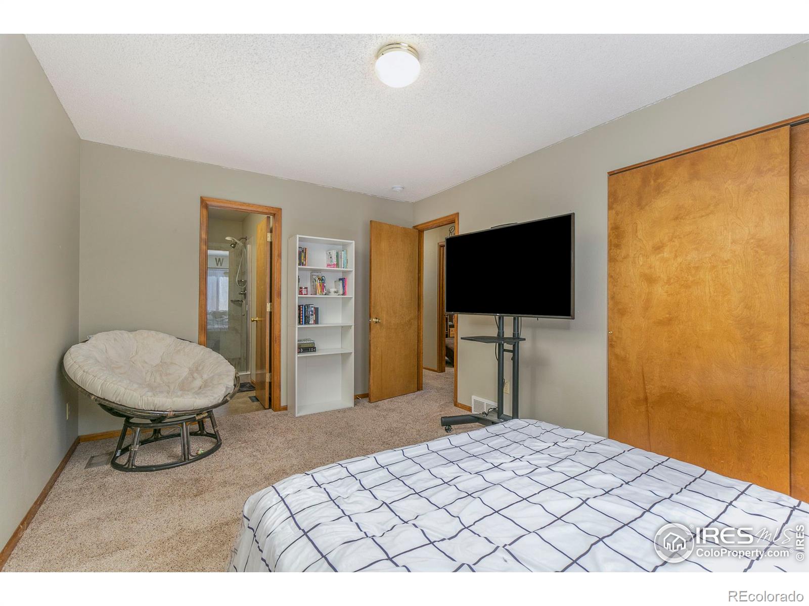 MLS Image #12 for 1617  cattail drive,loveland, Colorado