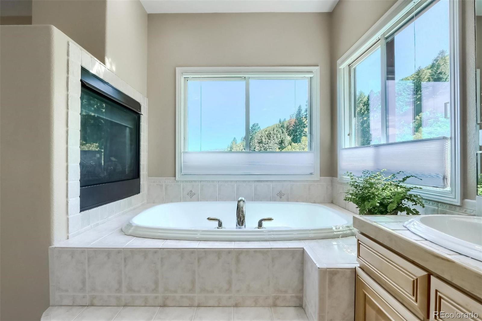 MLS Image #16 for 10591  sandstone run,littleton, Colorado