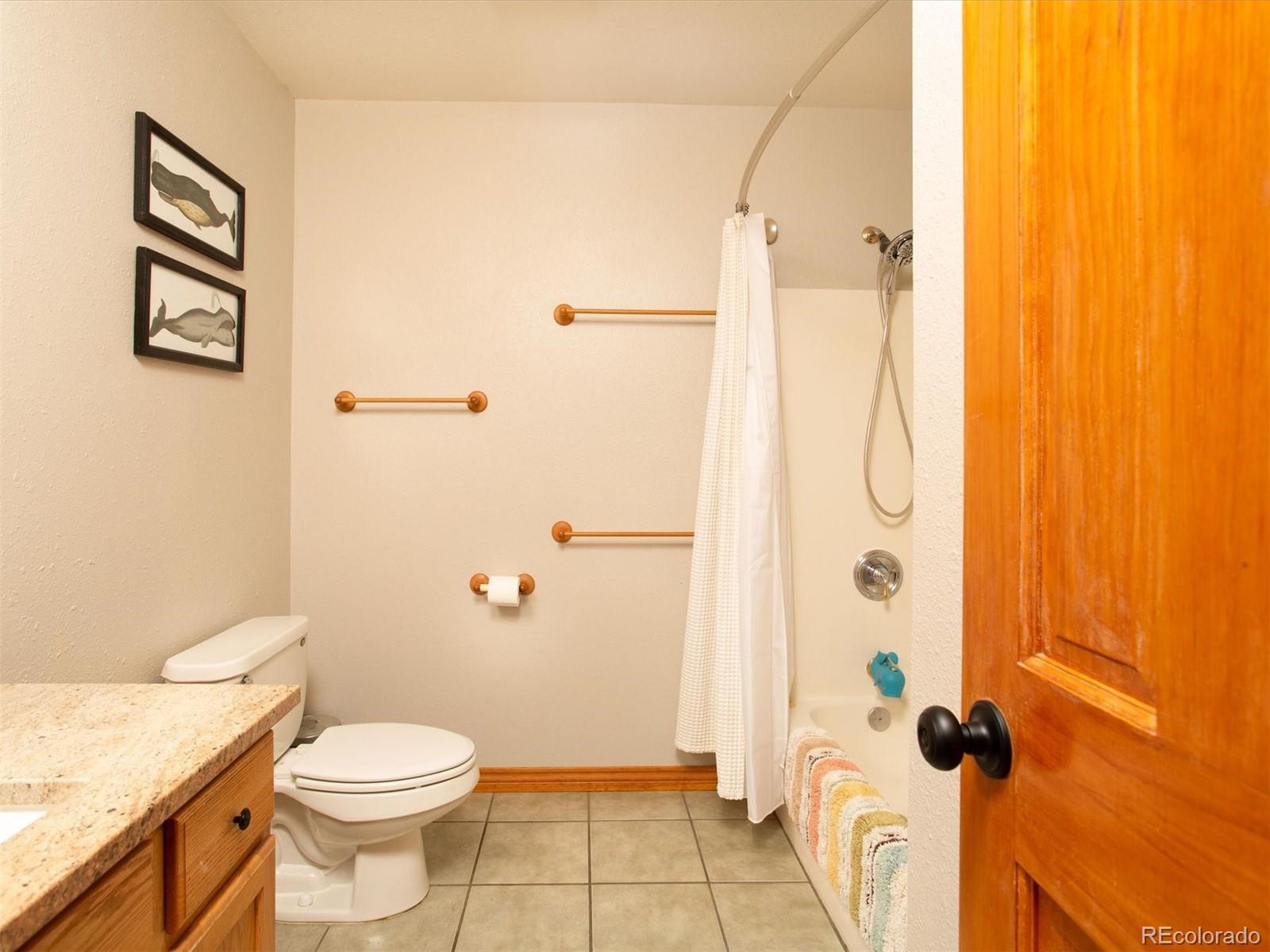MLS Image #11 for 35  forest drive,bailey, Colorado