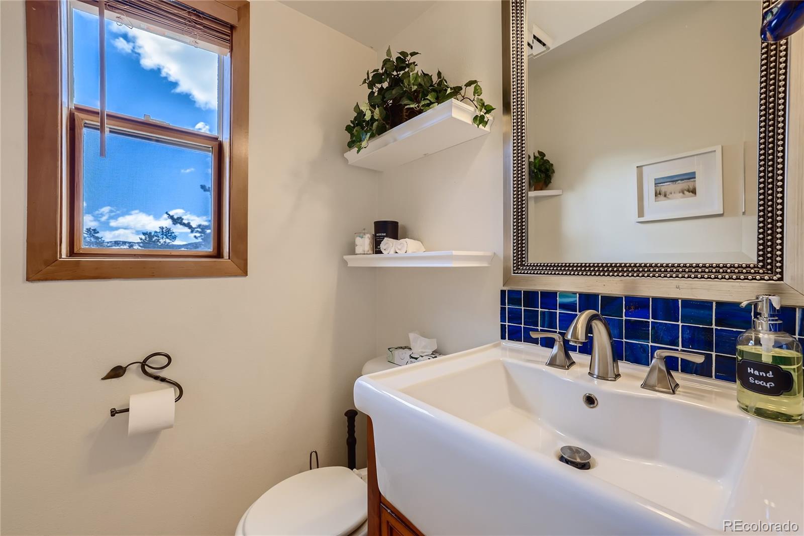 MLS Image #10 for 737  lagoon drive,frisco, Colorado