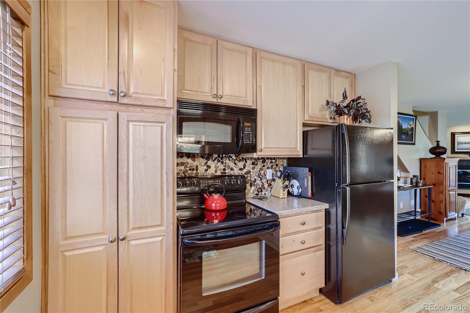 MLS Image #9 for 737  lagoon drive,frisco, Colorado