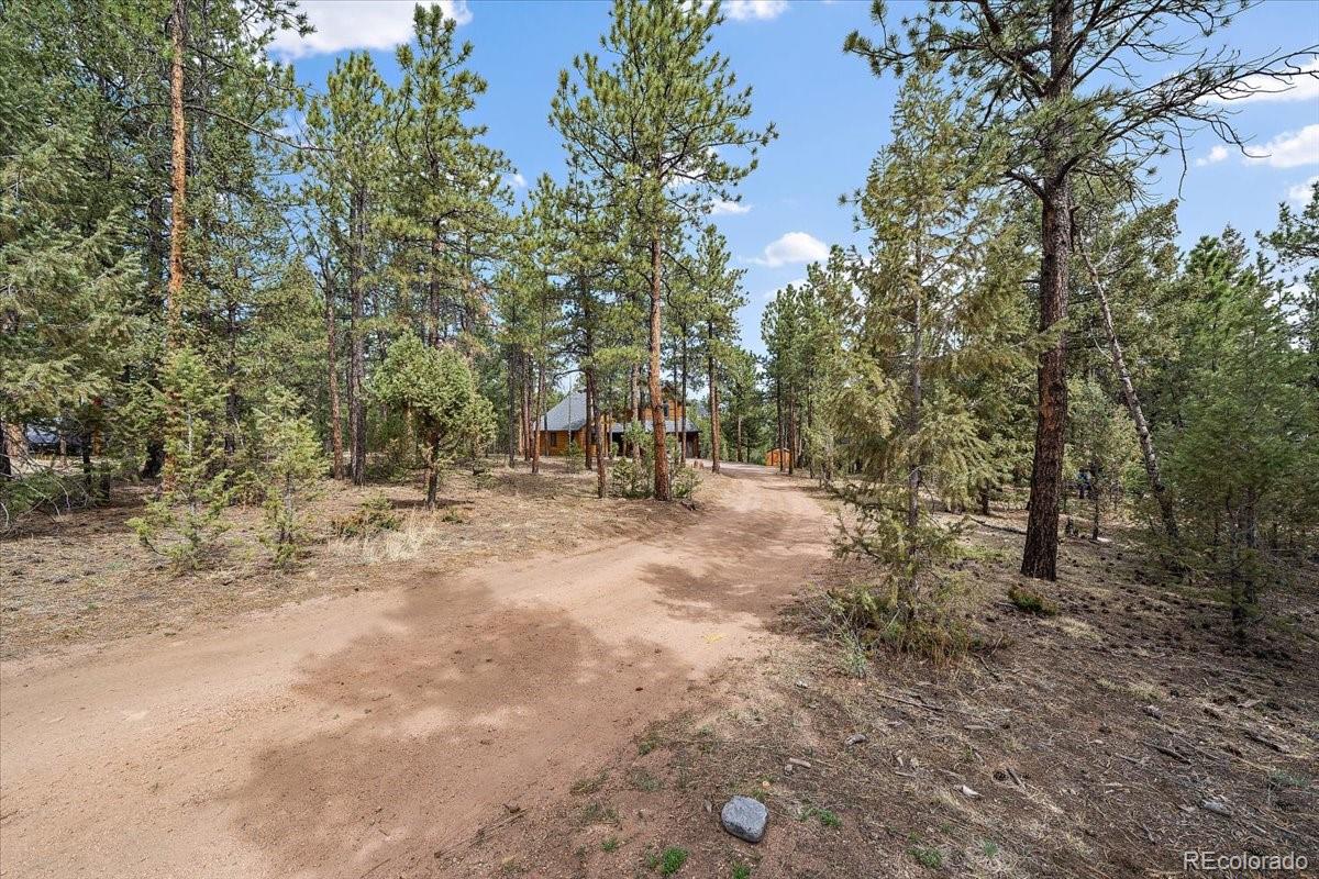 MLS Image #2 for 13191  piute drive,pine, Colorado