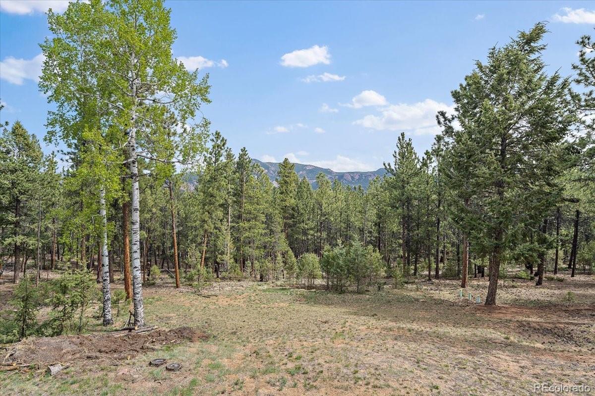 MLS Image #32 for 13191  piute drive,pine, Colorado