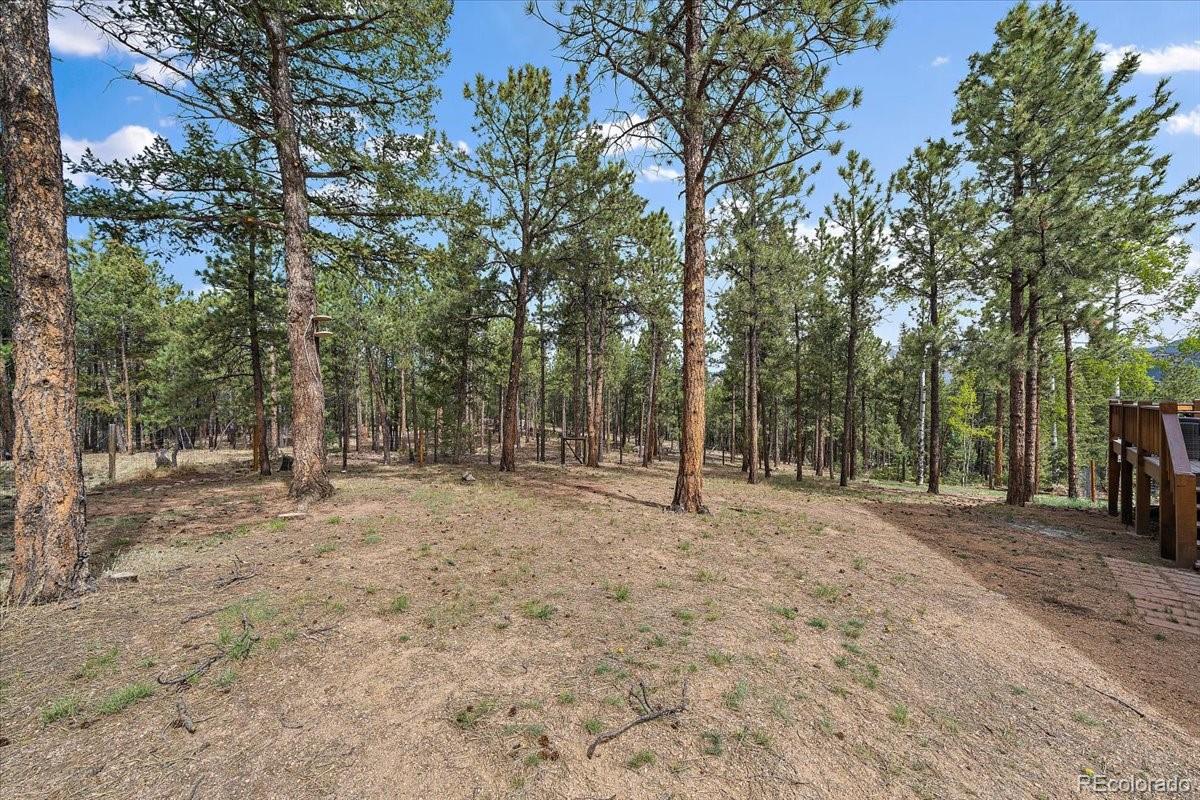 MLS Image #34 for 13191  piute drive,pine, Colorado