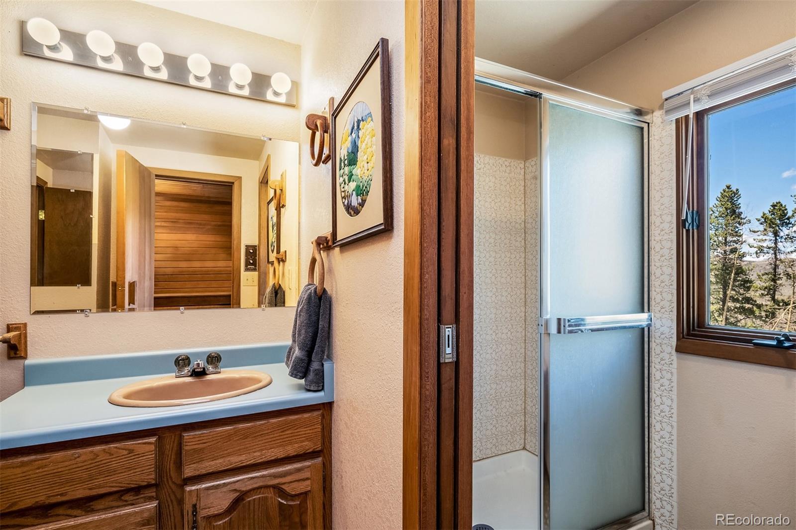 MLS Image #11 for 1009  american way,breckenridge, Colorado