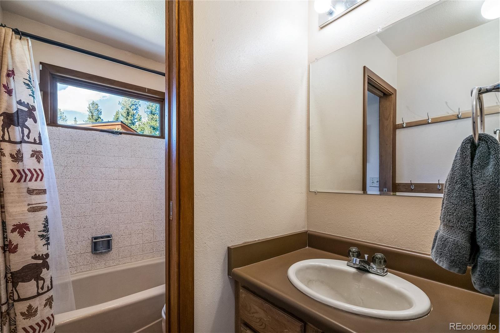 MLS Image #16 for 1009  american way,breckenridge, Colorado