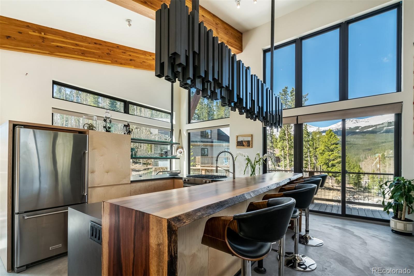 MLS Image #33 for 1009  american way,breckenridge, Colorado