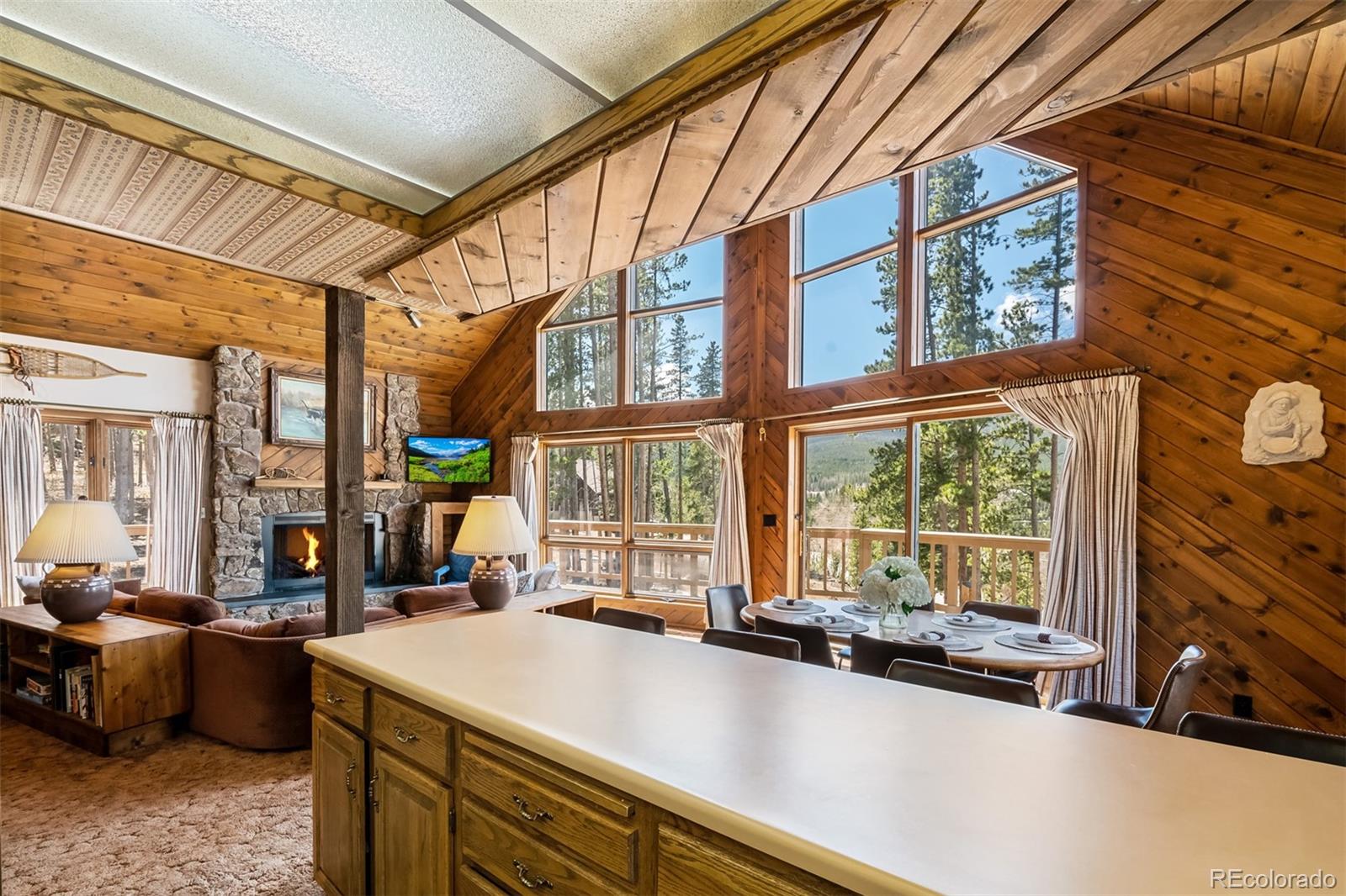 MLS Image #7 for 1009  american way,breckenridge, Colorado