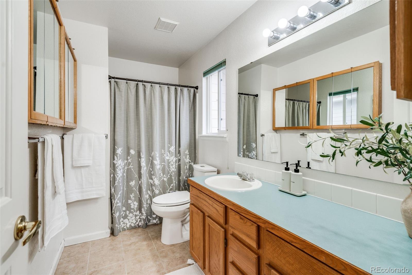 MLS Image #12 for 206  grant street,frederick, Colorado