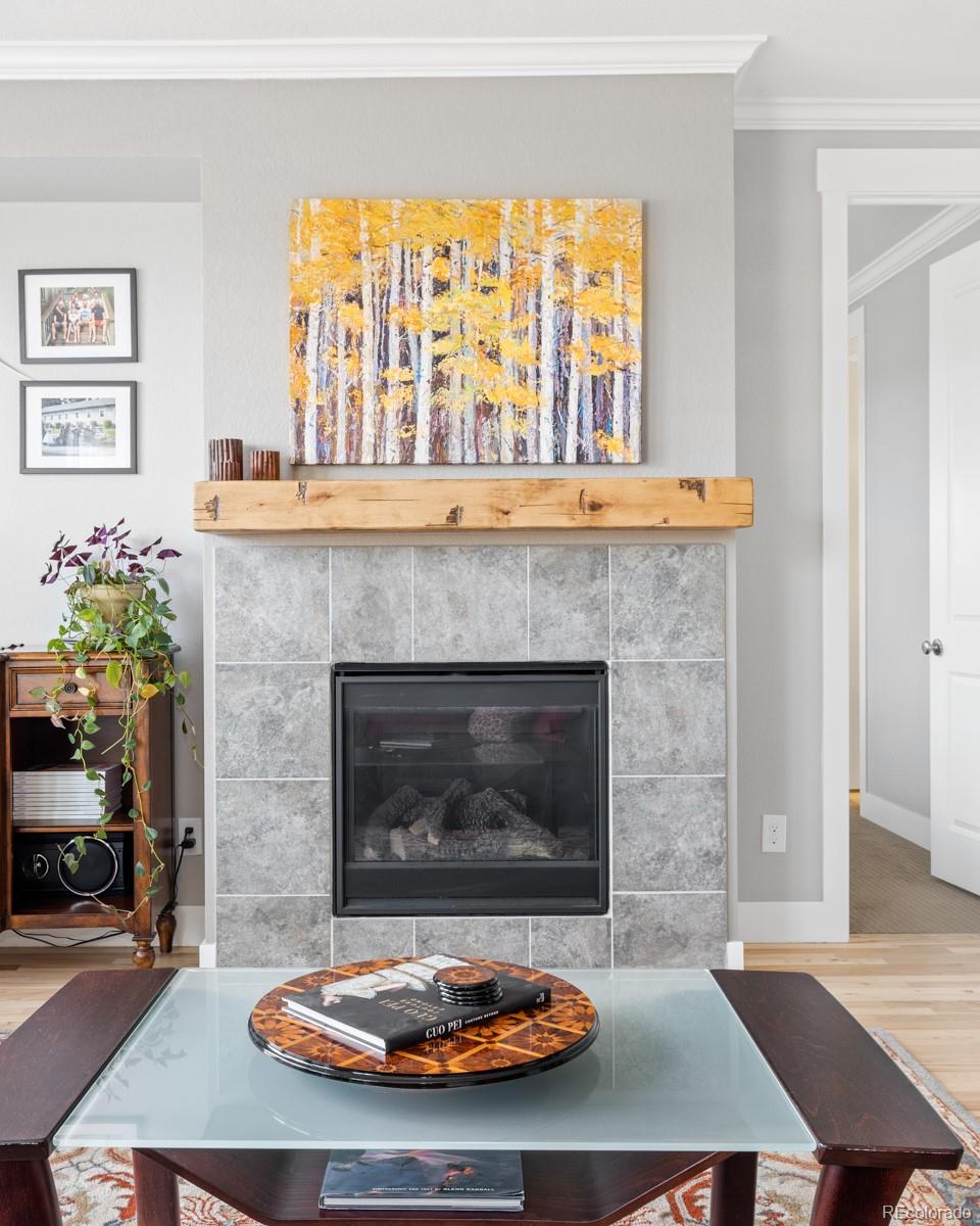 MLS Image #10 for 2022 s cathay way,aurora, Colorado
