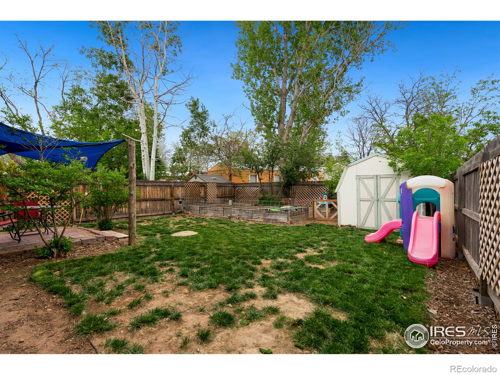 MLS Image #10 for 3702  dalton drive,fort collins, Colorado