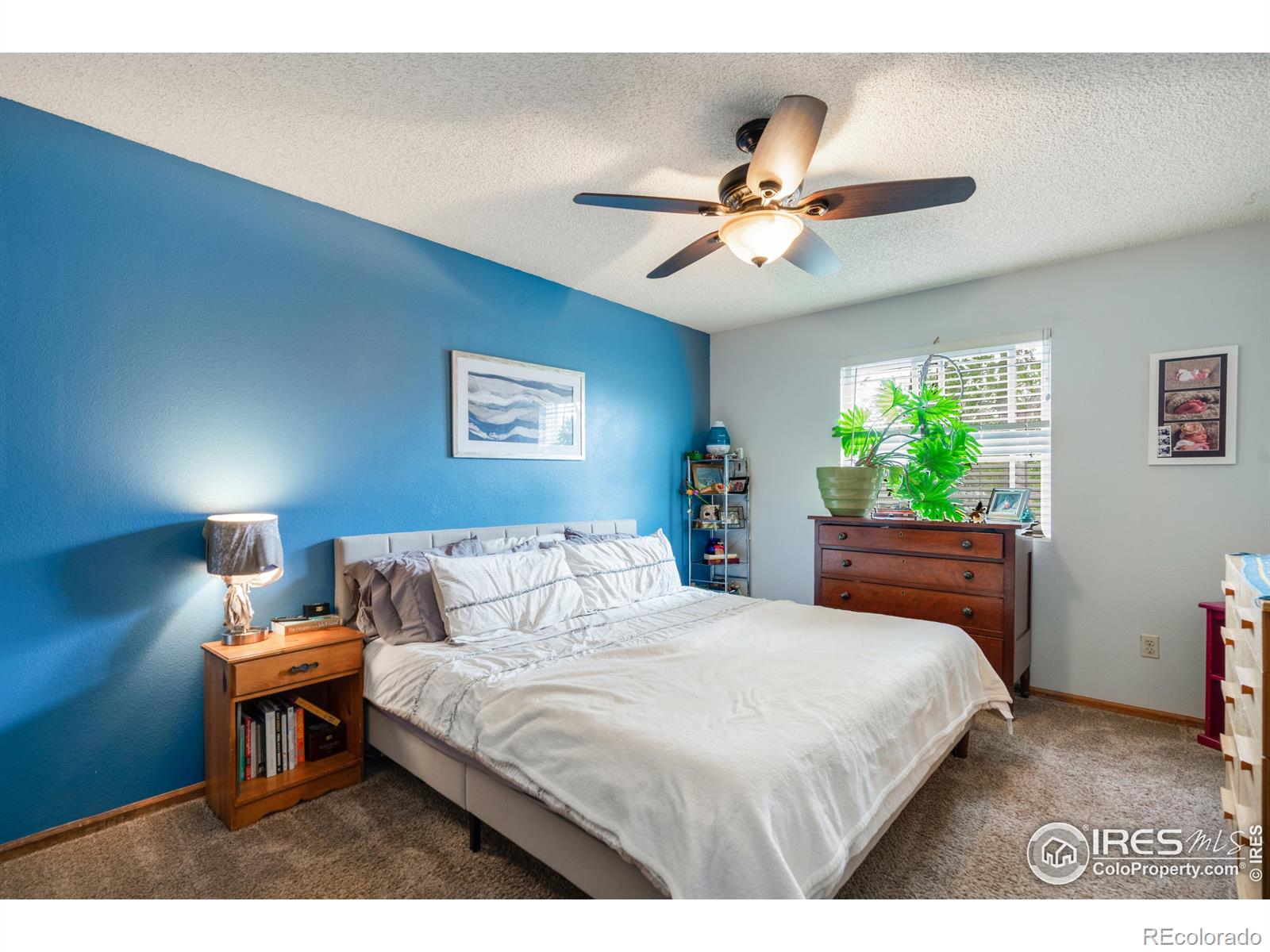 MLS Image #4 for 3702  dalton drive,fort collins, Colorado