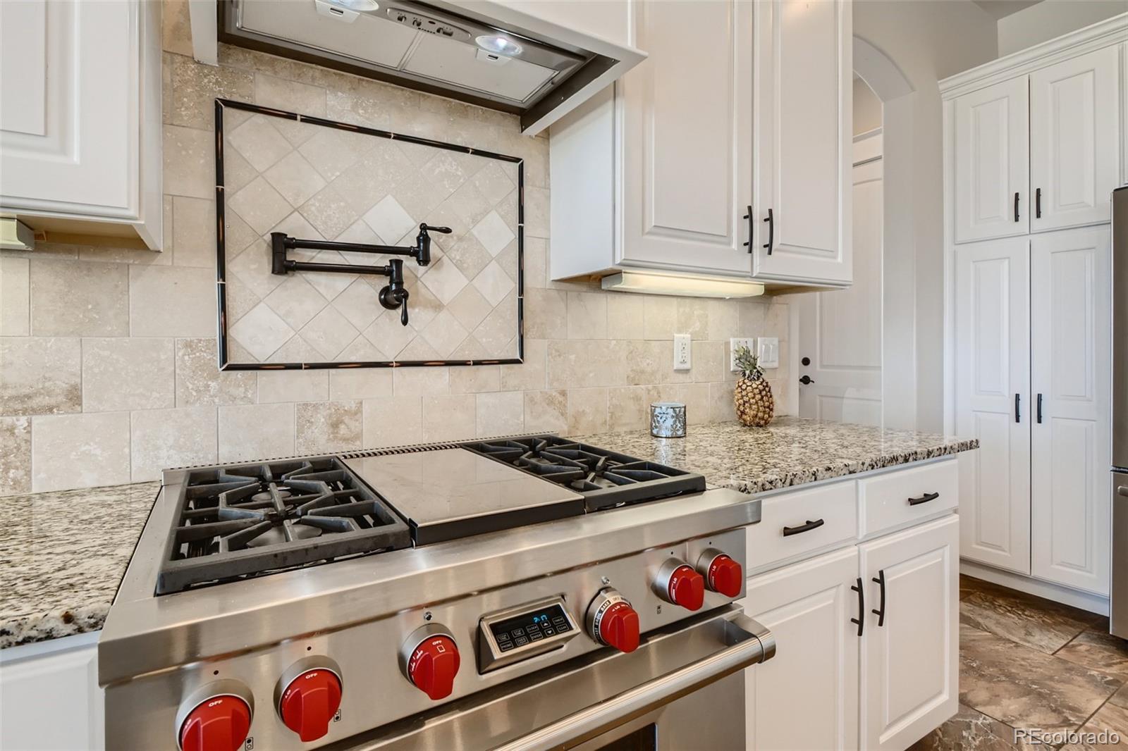 MLS Image #14 for 2256 s flint ridge court,watkins, Colorado