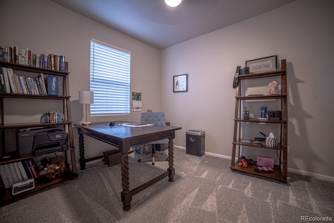 MLS Image #16 for 3091  kestrel street,brighton, Colorado