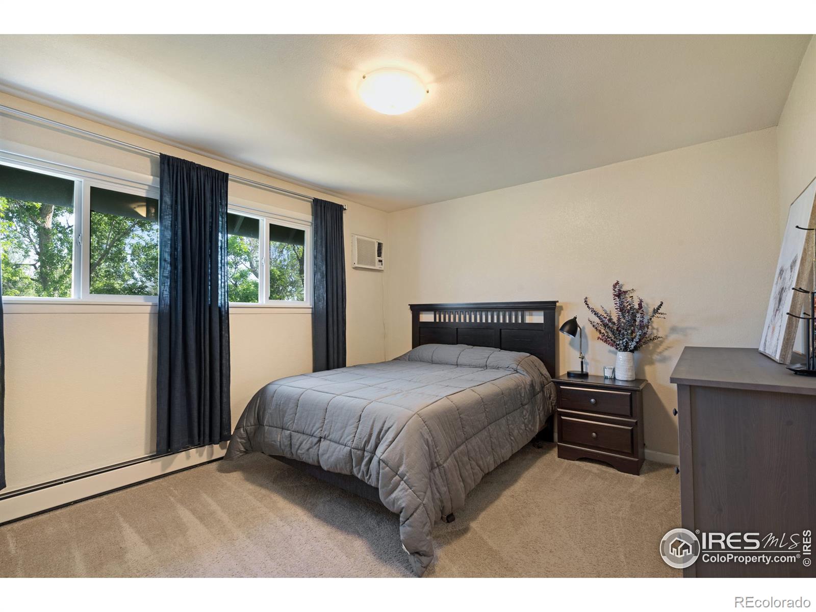 MLS Image #13 for 1701  springmeadows court,fort collins, Colorado