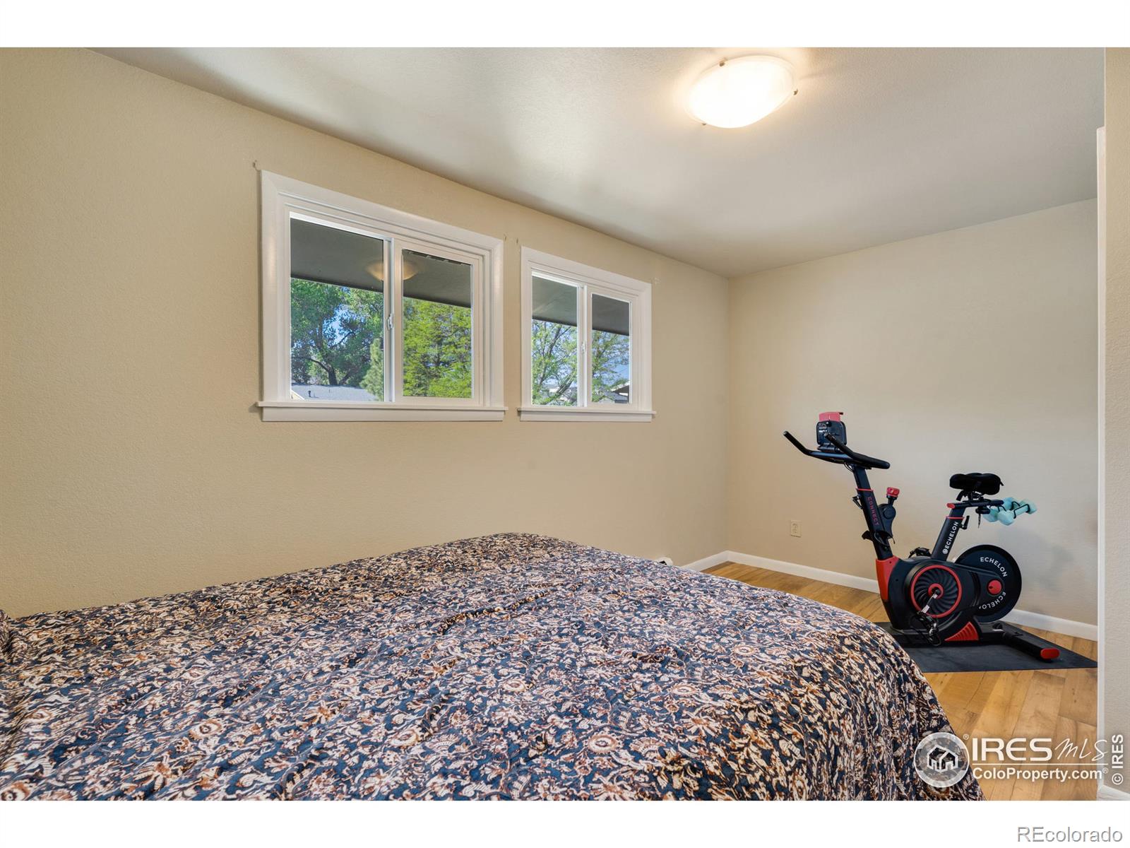 MLS Image #15 for 1701  springmeadows court,fort collins, Colorado