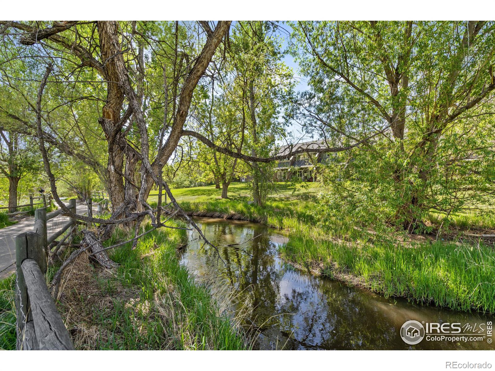 MLS Image #18 for 1701  springmeadows court,fort collins, Colorado