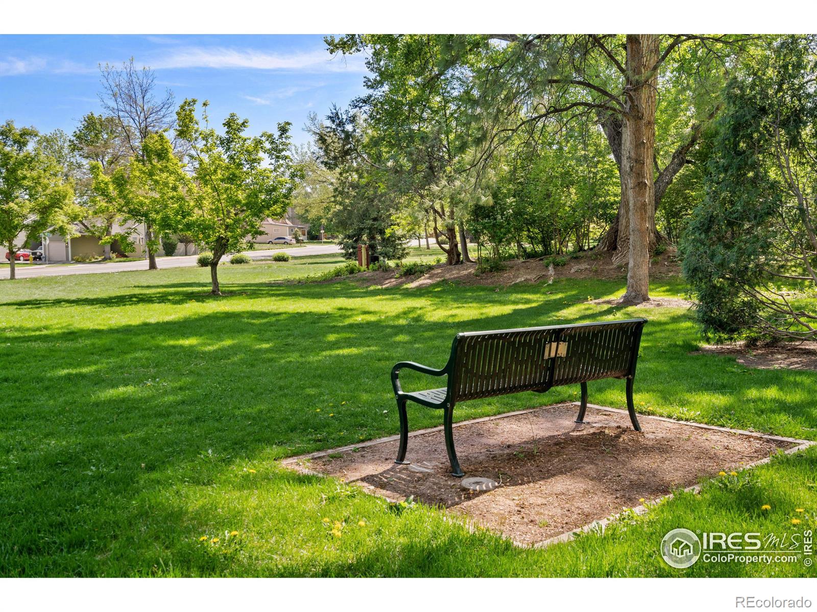 MLS Image #19 for 1701  springmeadows court,fort collins, Colorado