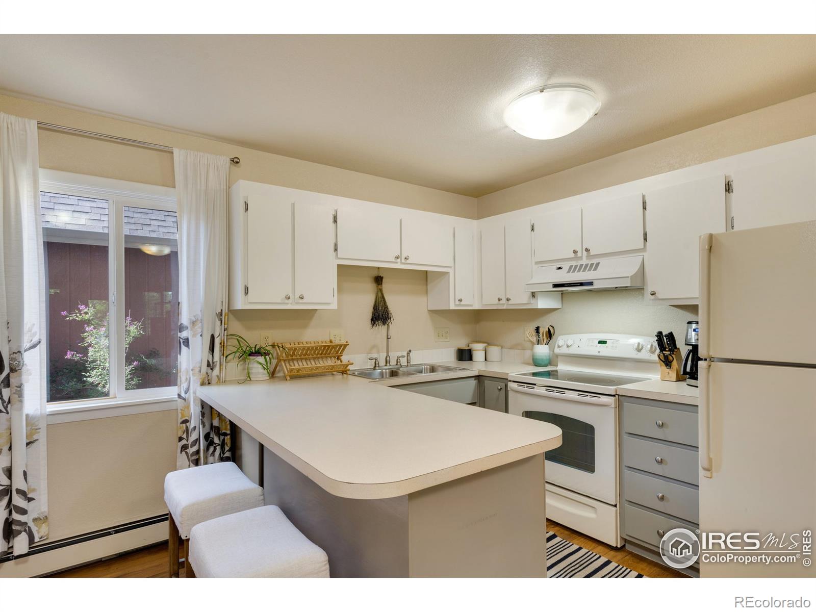 MLS Image #5 for 1701  springmeadows court,fort collins, Colorado