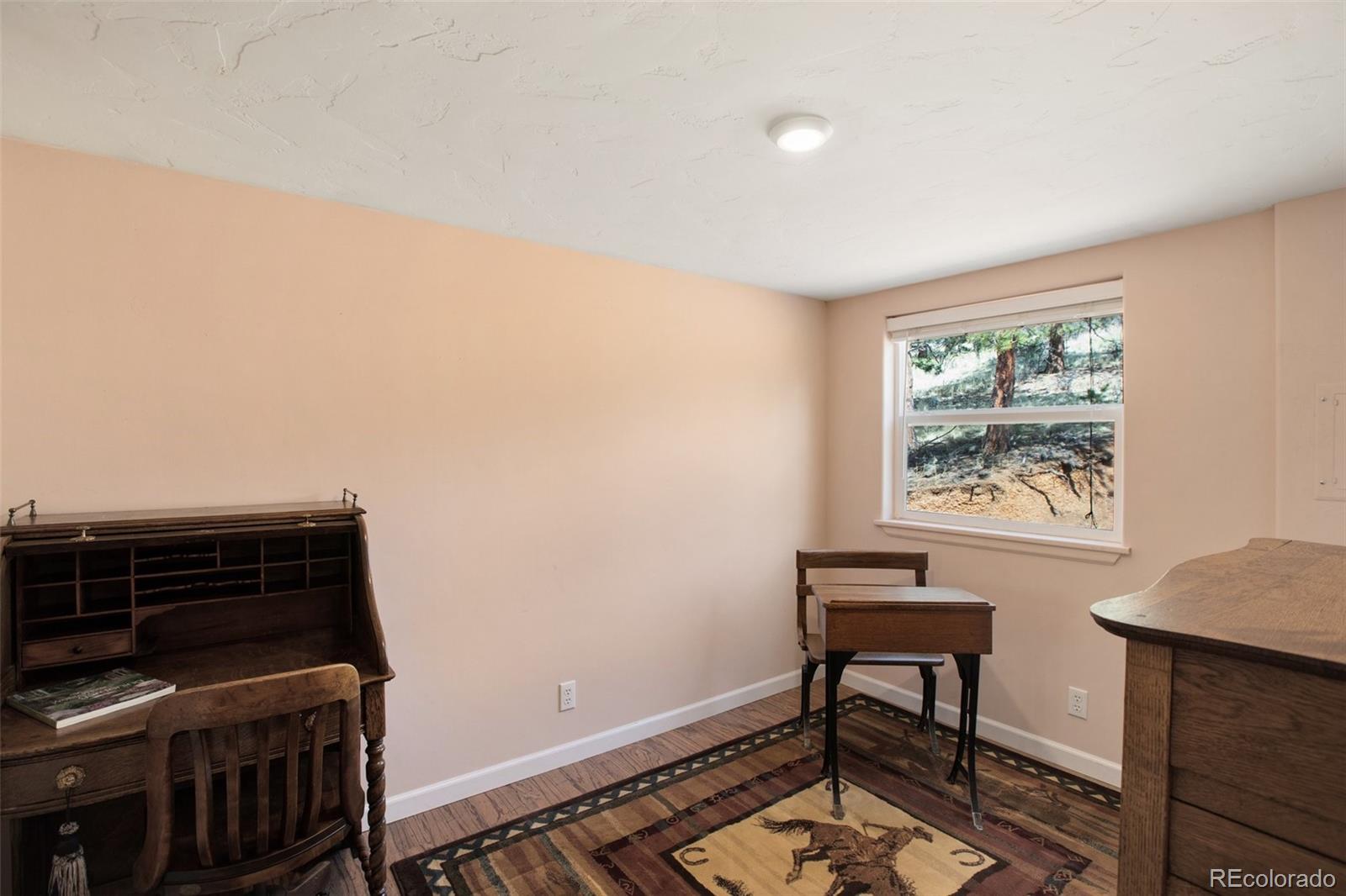 MLS Image #16 for 303  shavano circle,florissant, Colorado