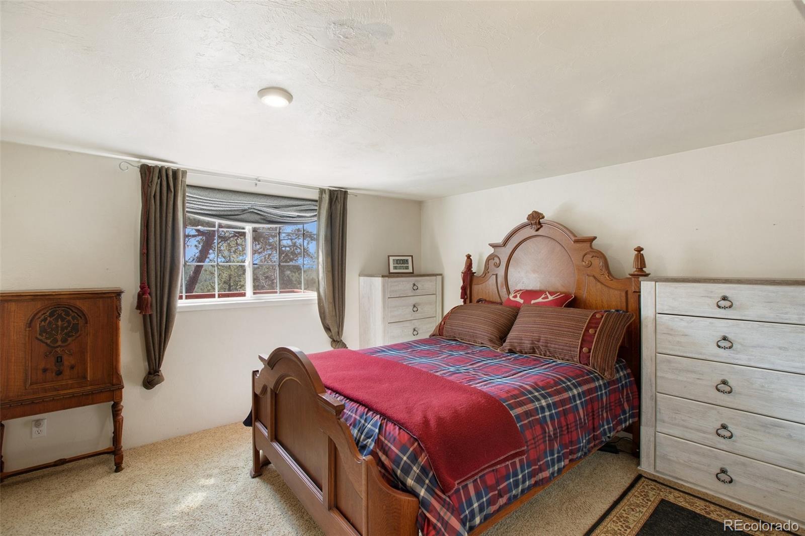 MLS Image #19 for 303  shavano circle,florissant, Colorado