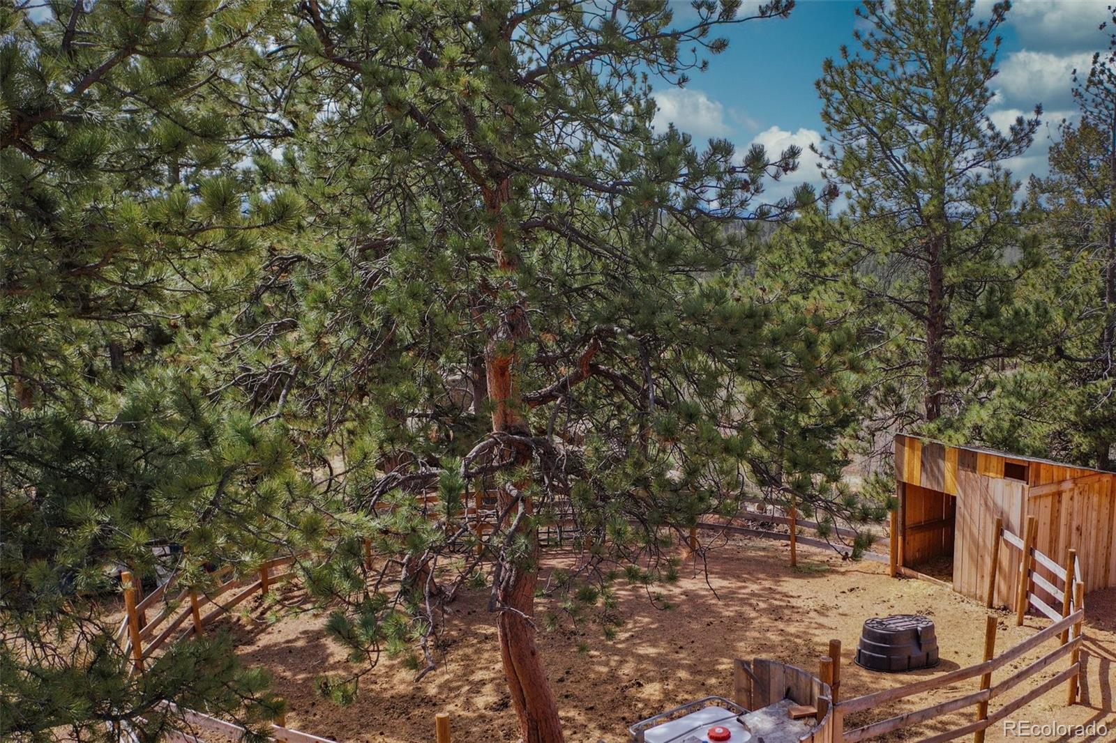 MLS Image #32 for 303  shavano circle,florissant, Colorado