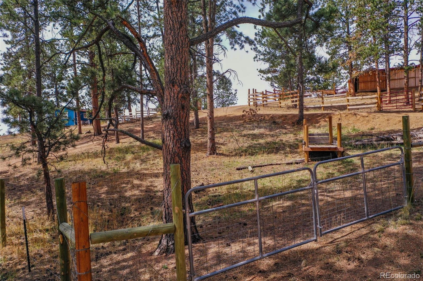MLS Image #35 for 303  shavano circle,florissant, Colorado