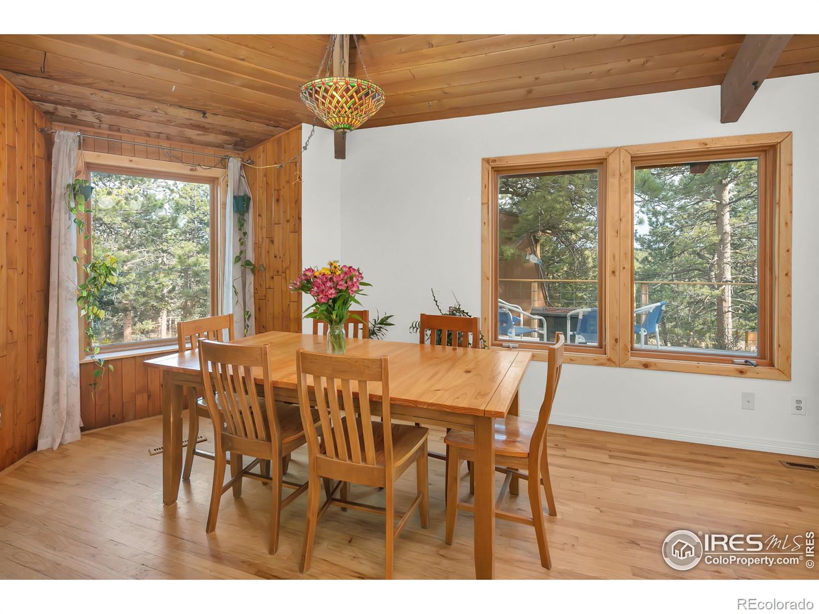 MLS Image #11 for 120  bramer road,ward, Colorado