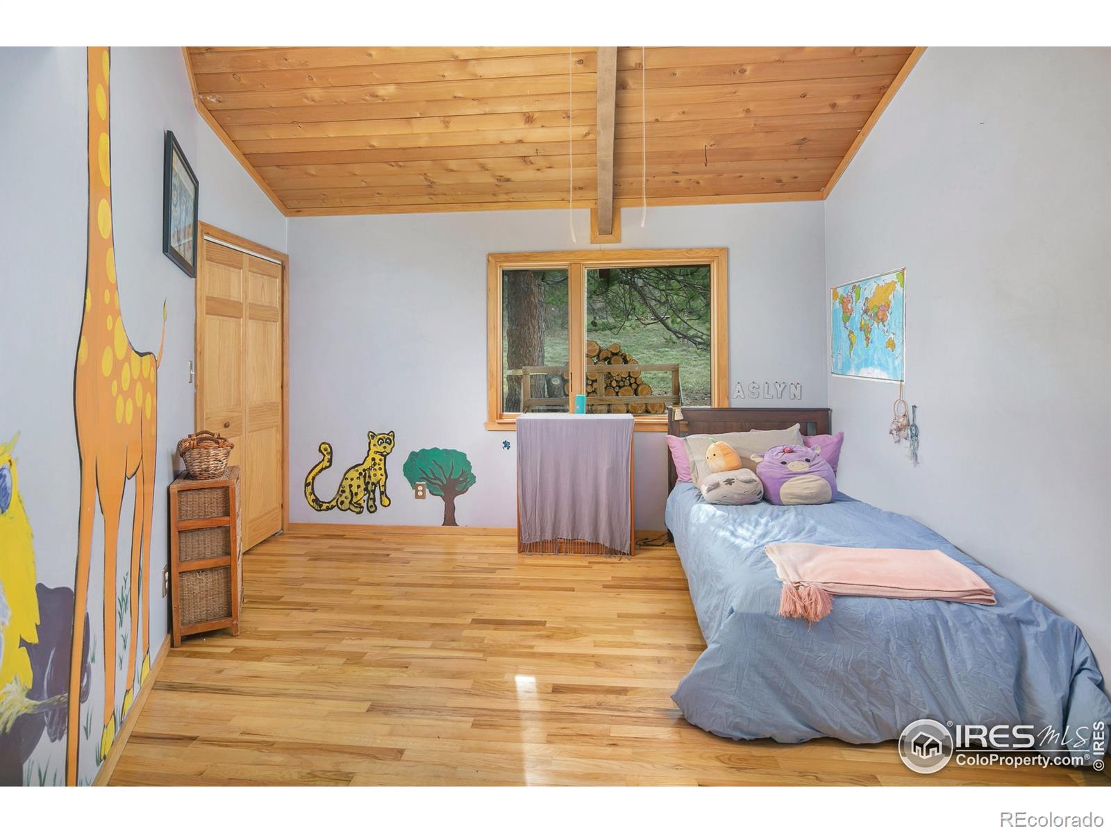 MLS Image #14 for 120  bramer road,ward, Colorado