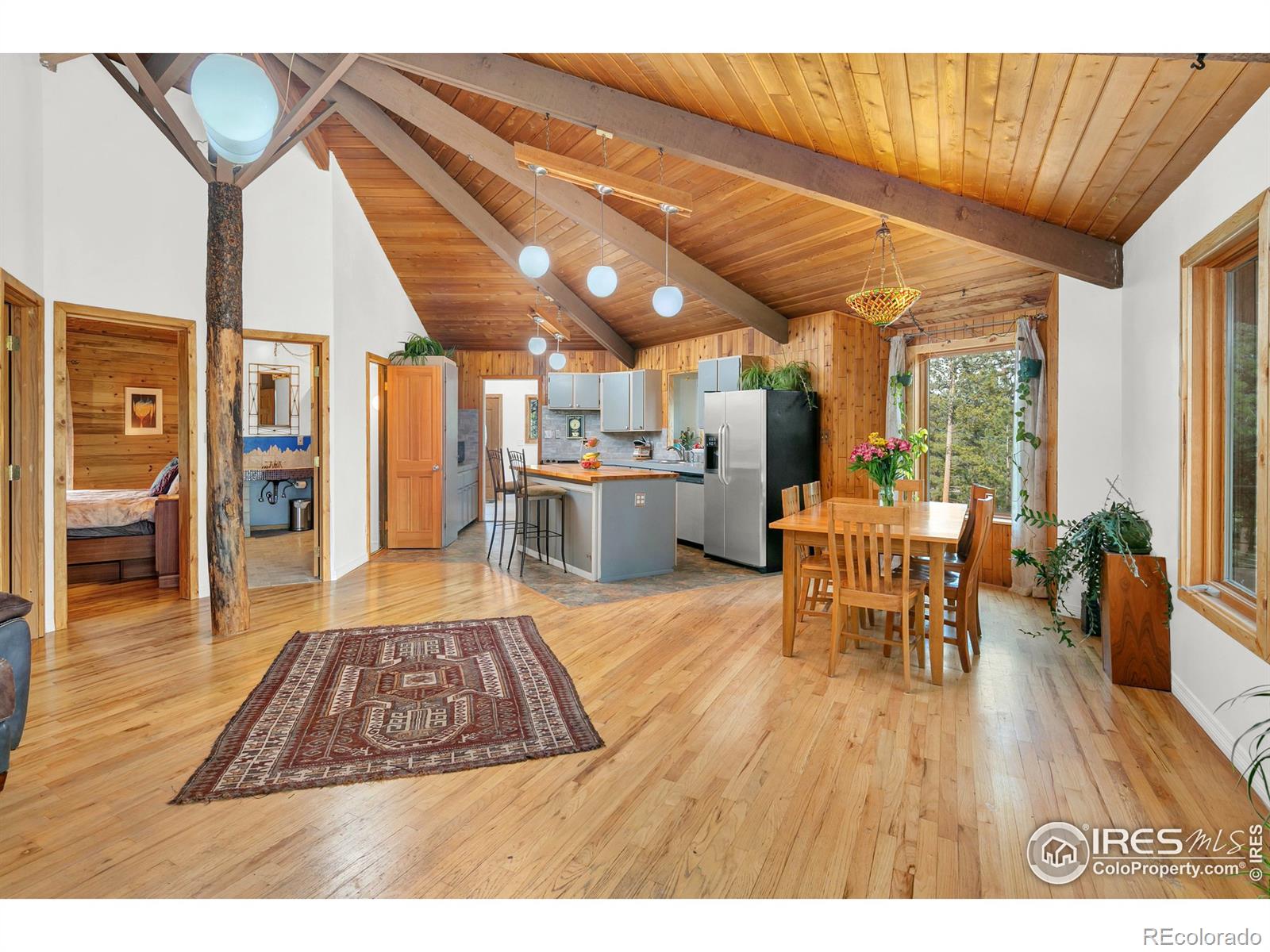 MLS Image #9 for 120  bramer road,ward, Colorado