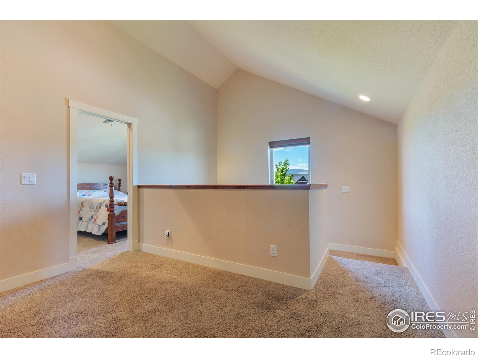 MLS Image #21 for 5402  standing cloud drive,loveland, Colorado