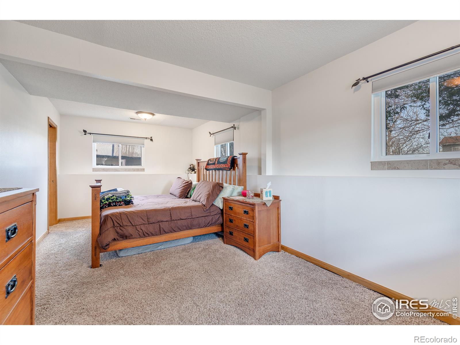 MLS Image #10 for 12345  rock lane,longmont, Colorado