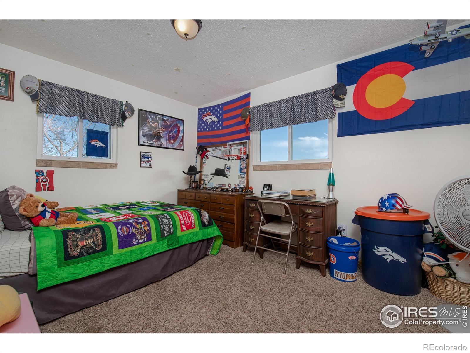 MLS Image #13 for 12345  rock lane,longmont, Colorado