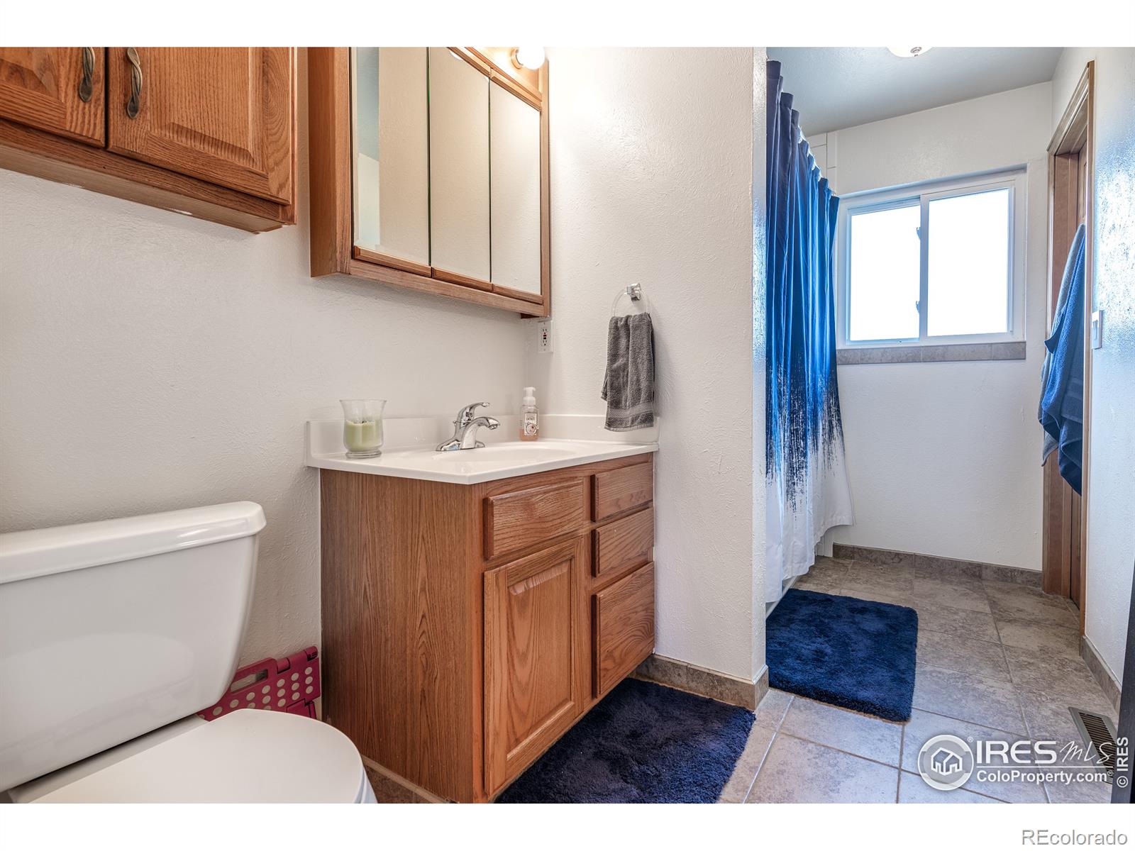 MLS Image #14 for 12345  rock lane,longmont, Colorado