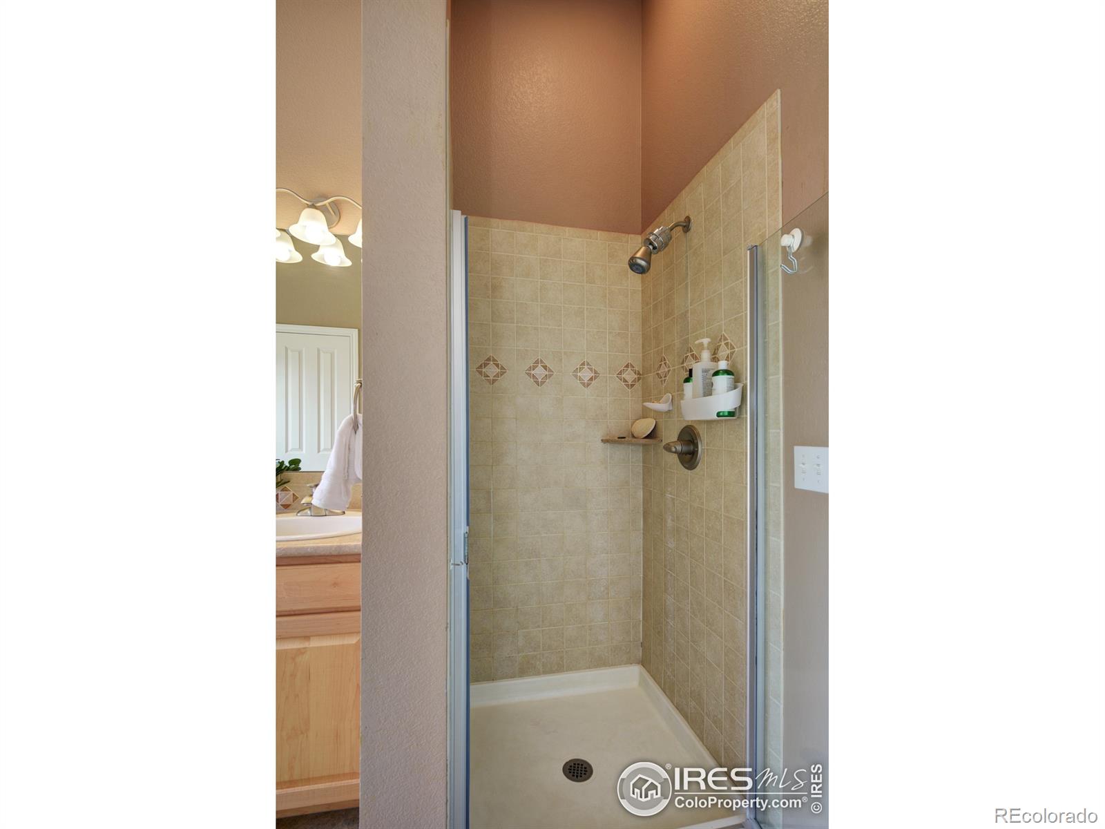 MLS Image #16 for 110  noland court,lyons, Colorado