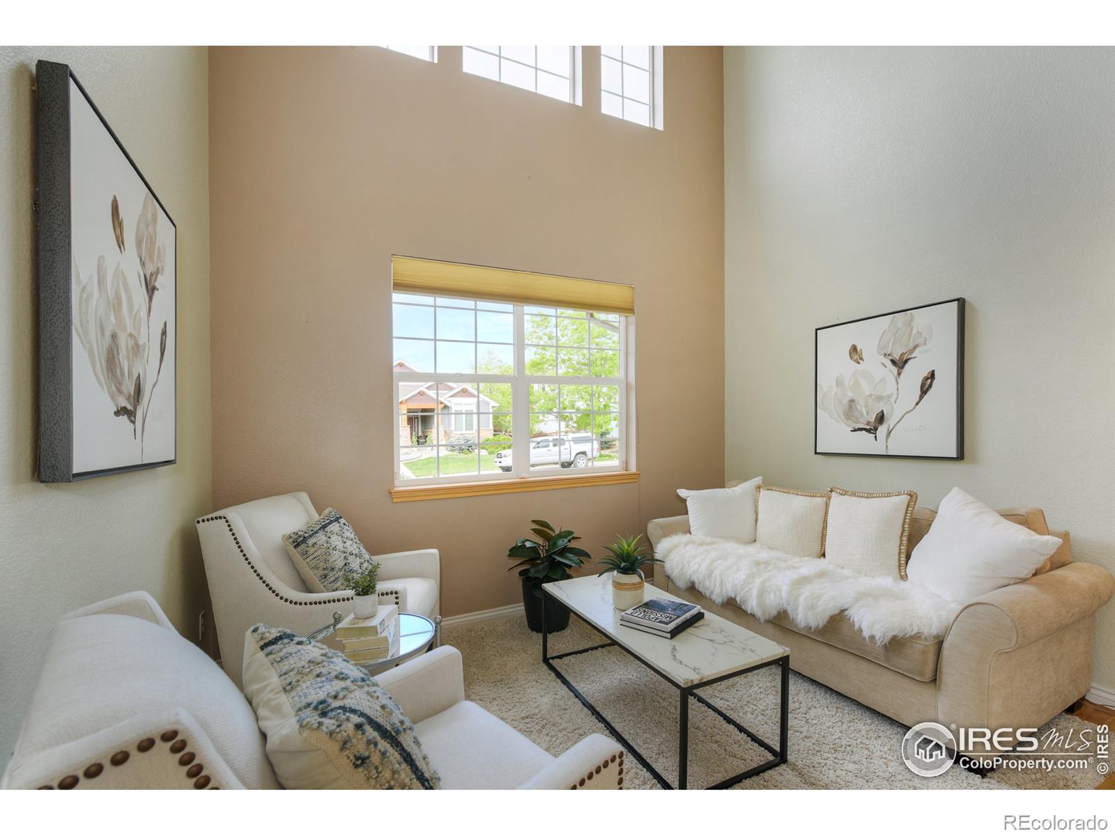 MLS Image #4 for 110  noland court,lyons, Colorado
