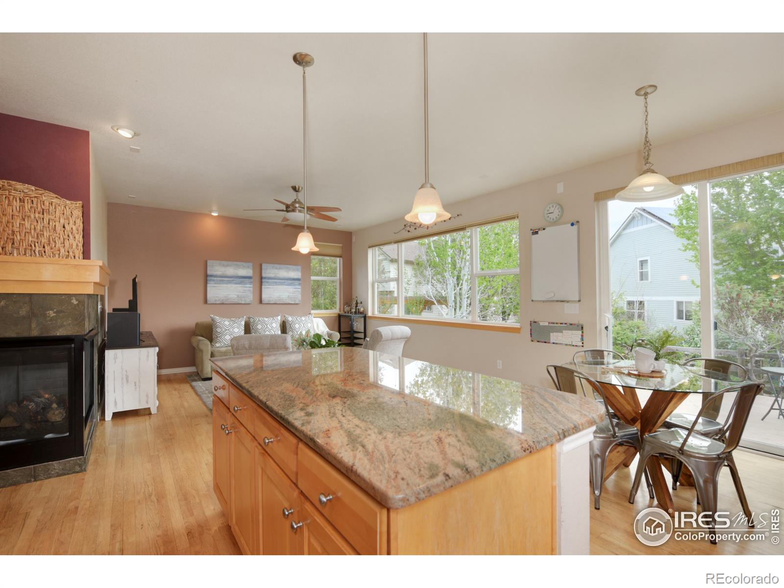 MLS Image #7 for 110  noland court,lyons, Colorado