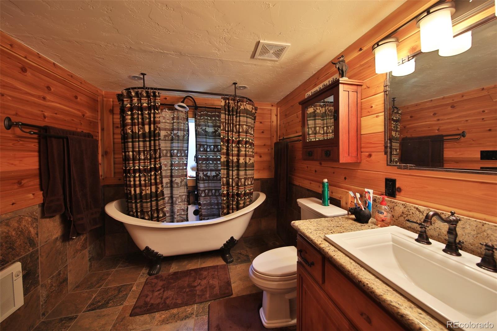 MLS Image #10 for 21675  baron lake drive,cedaredge, Colorado
