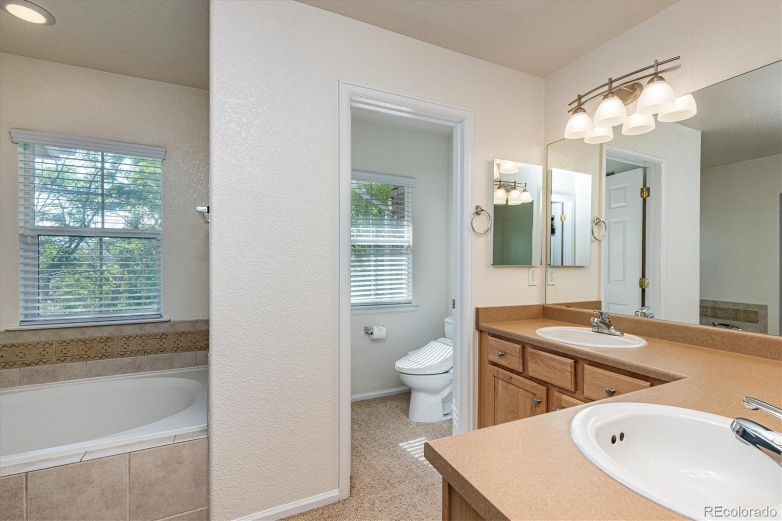 MLS Image #18 for 96  whitehaven circle,highlands ranch, Colorado