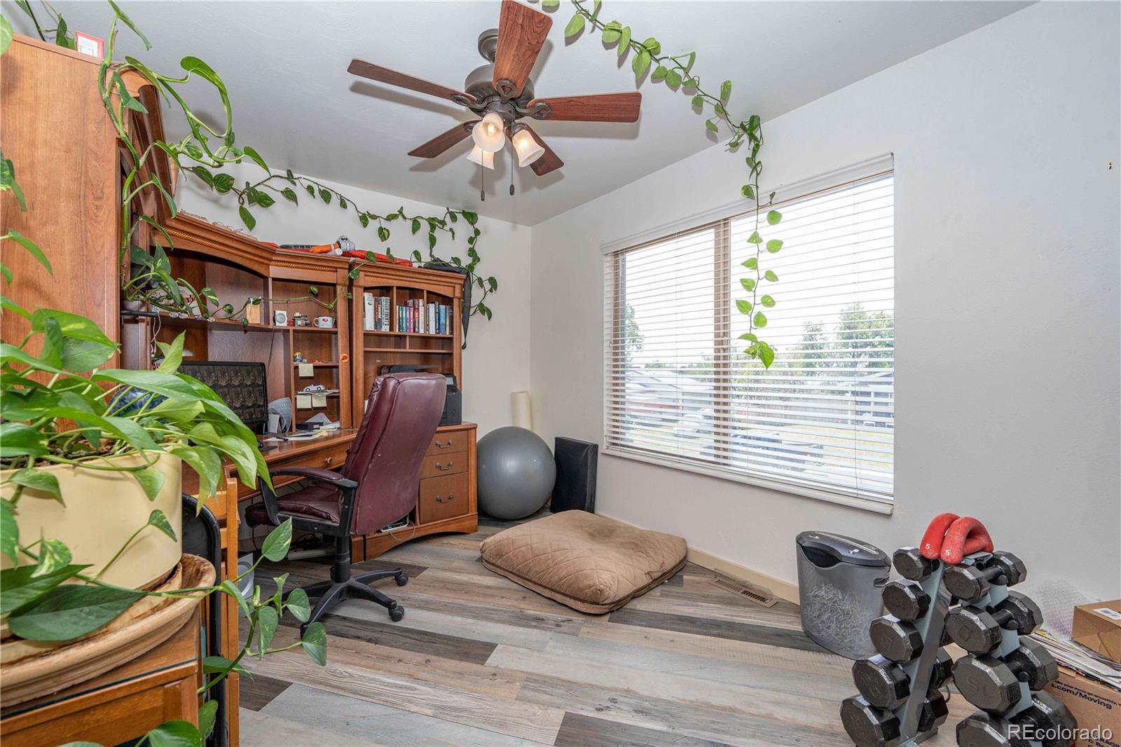 MLS Image #13 for 1347 e 81st place,denver, Colorado