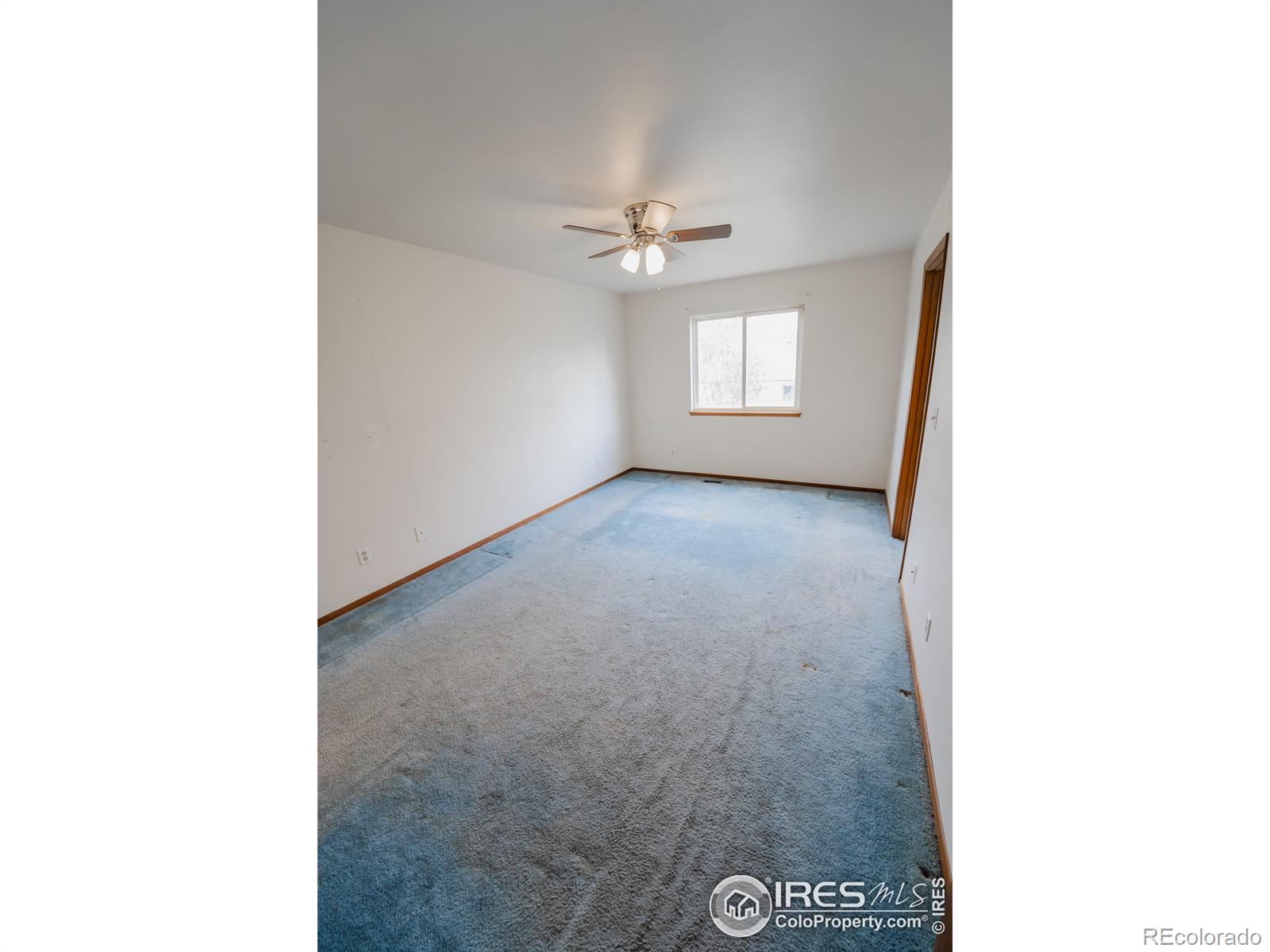 MLS Image #17 for 265  pin oak drive,loveland, Colorado