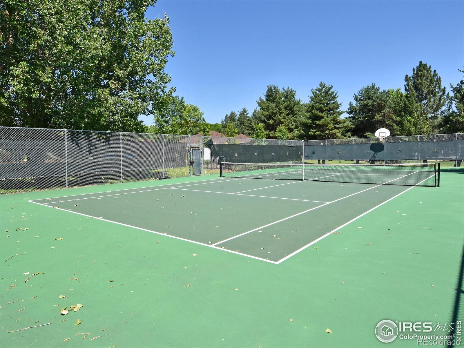 MLS Image #36 for 2429  ginny way,lafayette, Colorado