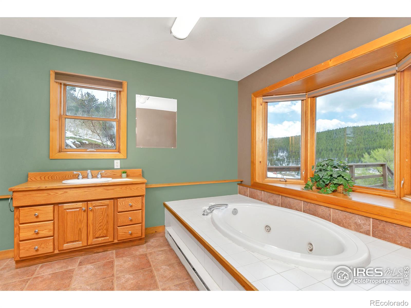 MLS Image #16 for 67  assay office road,rollinsville, Colorado