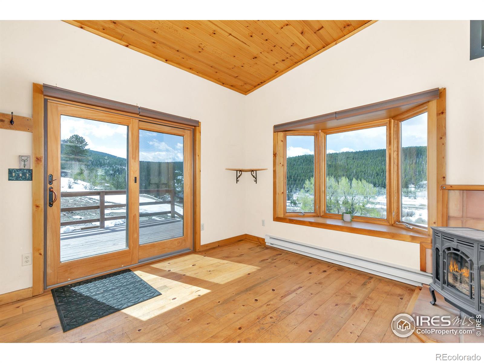 MLS Image #5 for 67  assay office road,rollinsville, Colorado