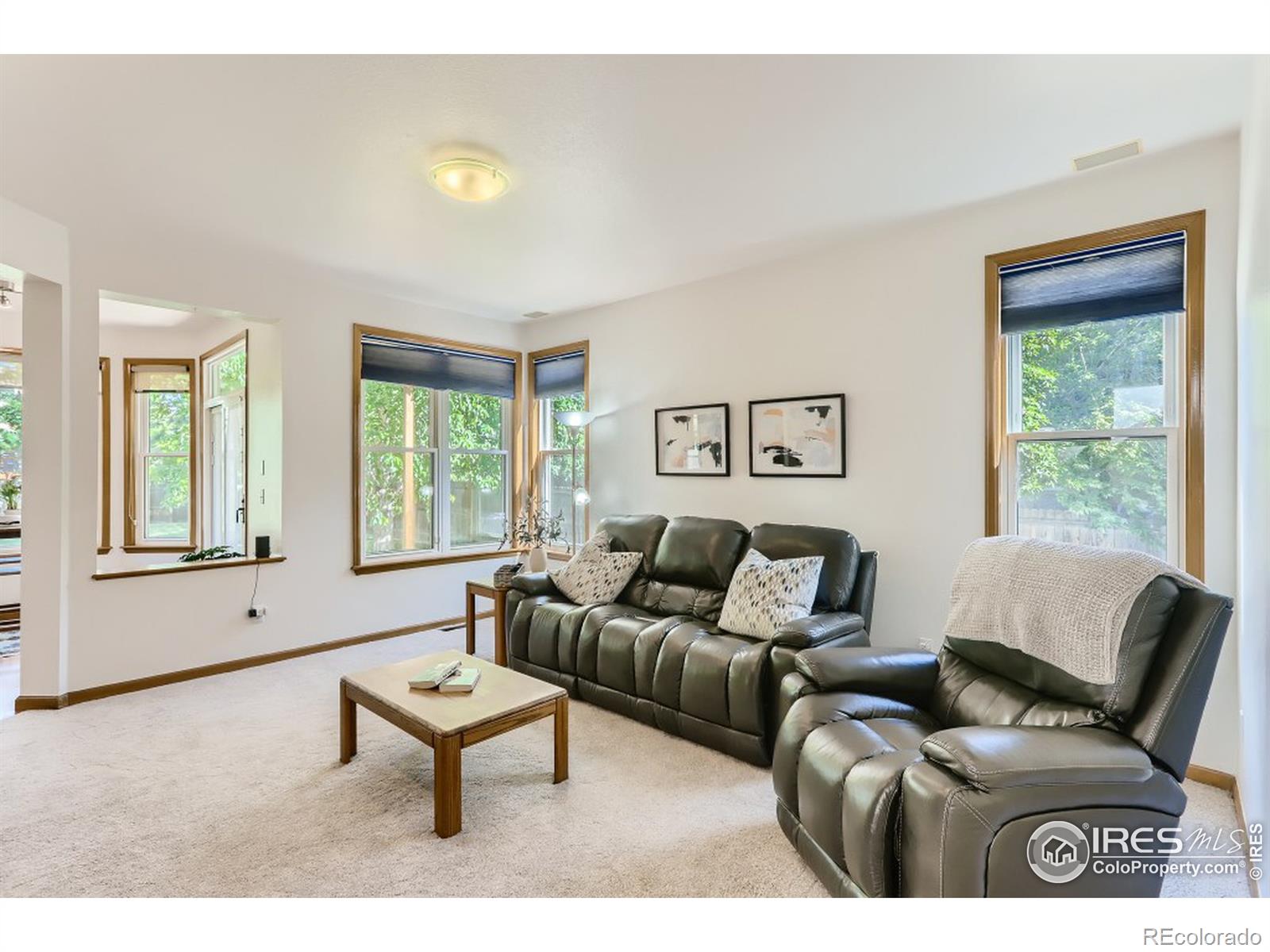 MLS Image #24 for 1638  zinnia circle,lafayette, Colorado