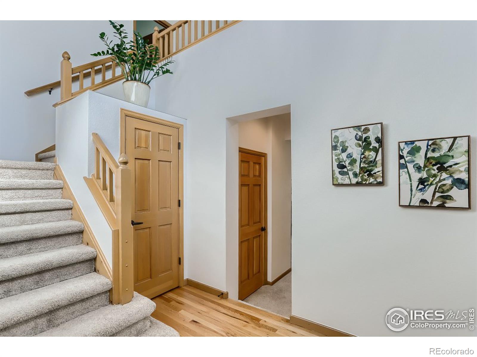 MLS Image #4 for 1638  zinnia circle,lafayette, Colorado
