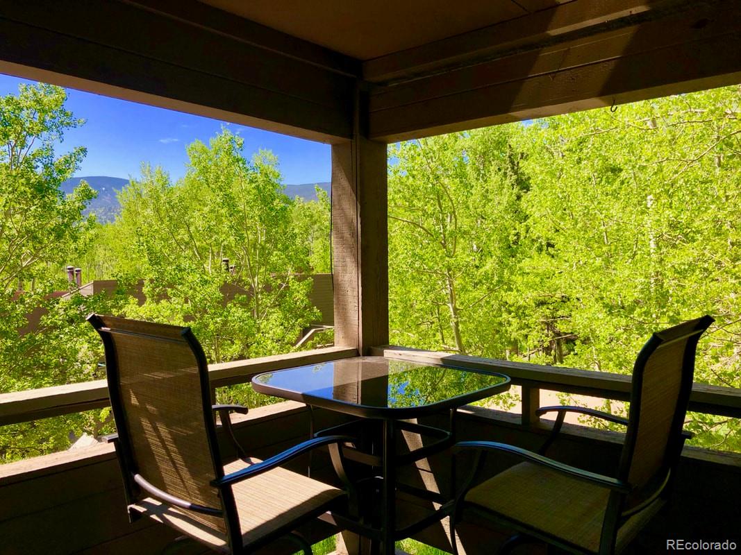 MLS Image #12 for 1420  panadero avw ,la veta, Colorado