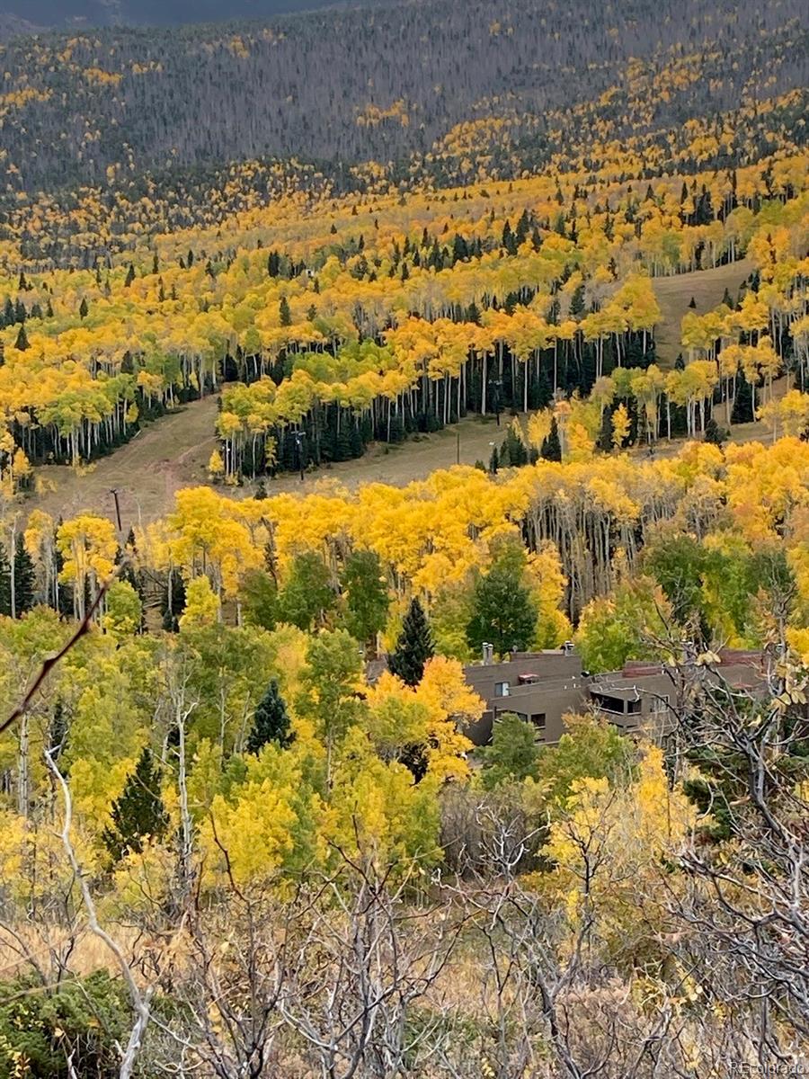MLS Image #2 for 1420  panadero avw ,la veta, Colorado