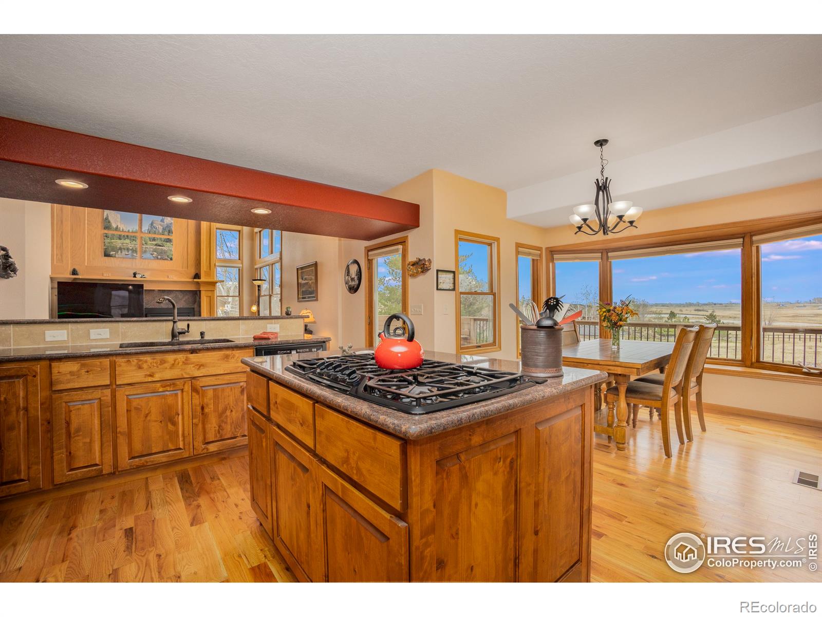 MLS Image #10 for 3020  blue mountain court,loveland, Colorado